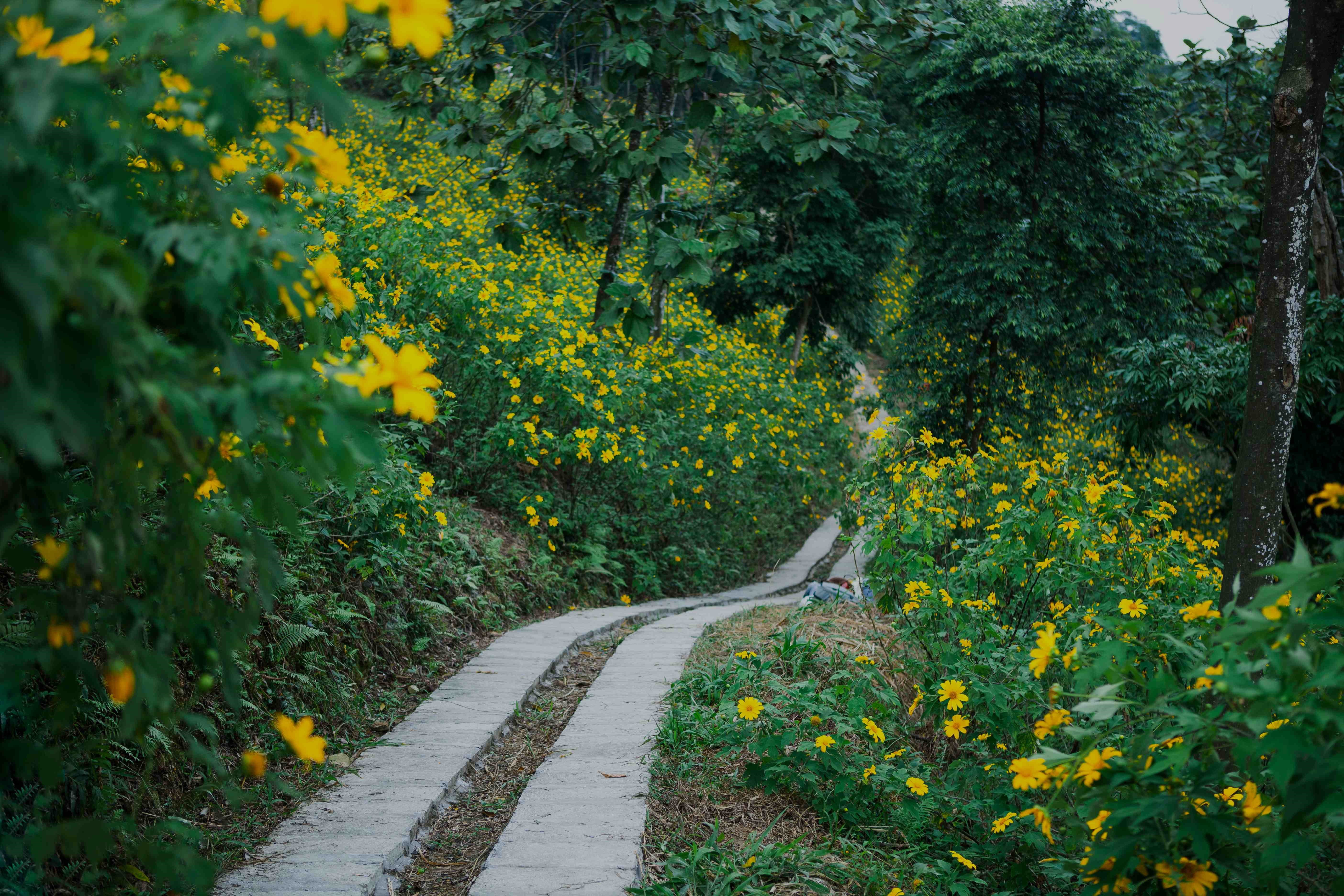 Ba Vi National Park